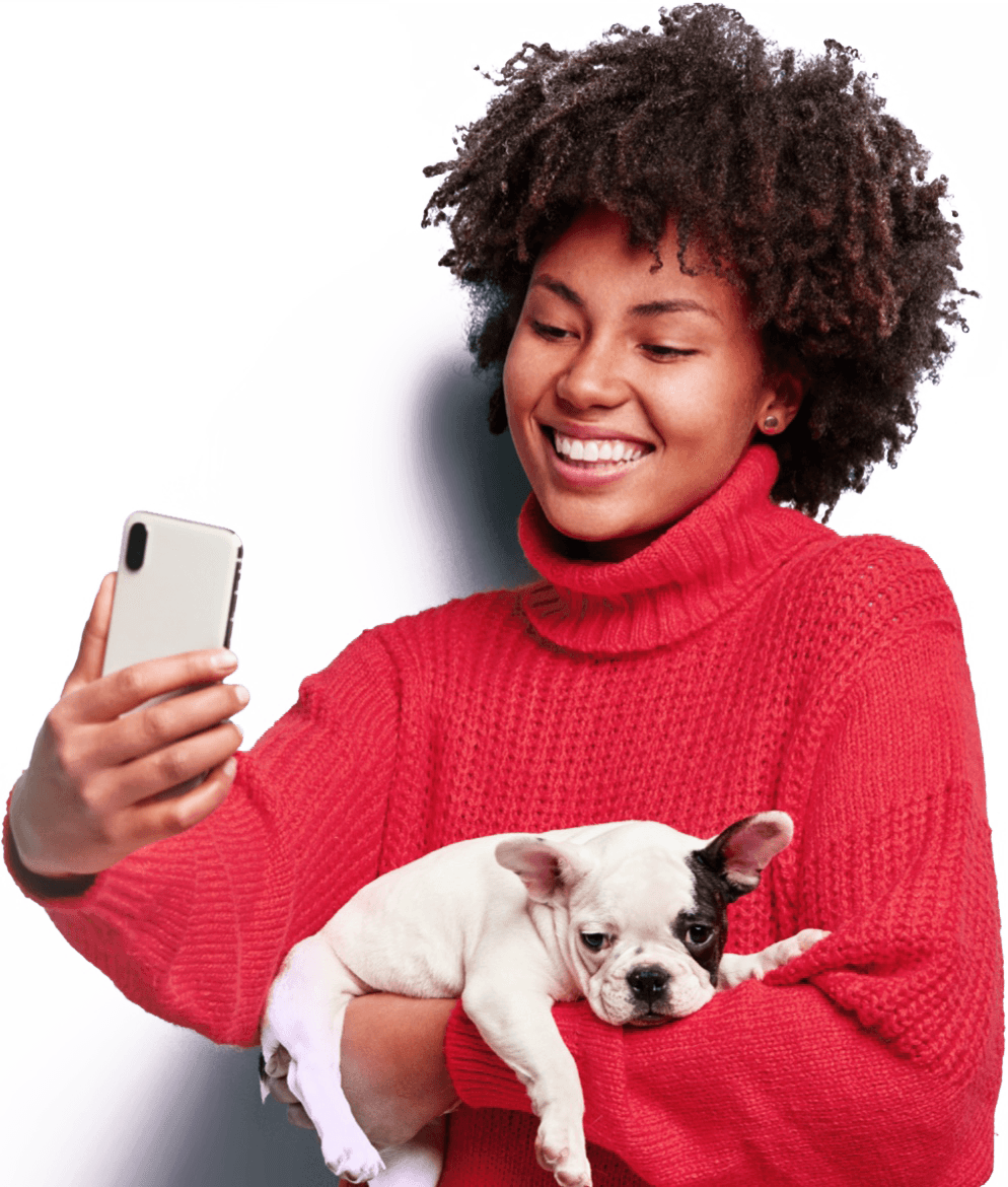 Chat to an Online Vet Only £14.99 UK Licensed Vets PocketVet