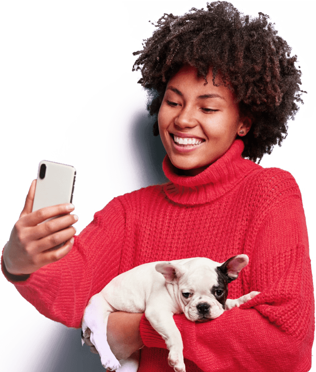 Chat to an Online Vet Only £14.99 UK Licensed Vets PocketVet