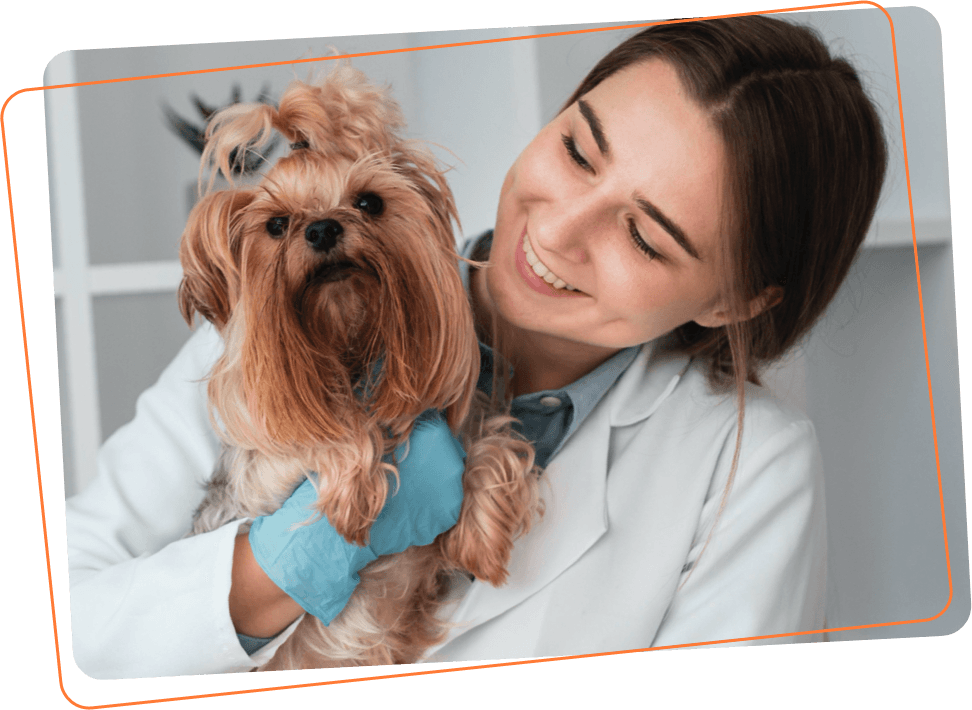 Ask an Online Vet